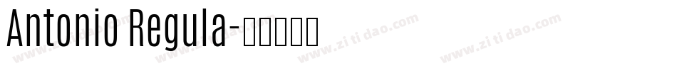 Antonio Regula字体转换
